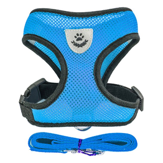 Adjustable Vest Pet Harness - Pride Fire - 724524_8DKIBNO -