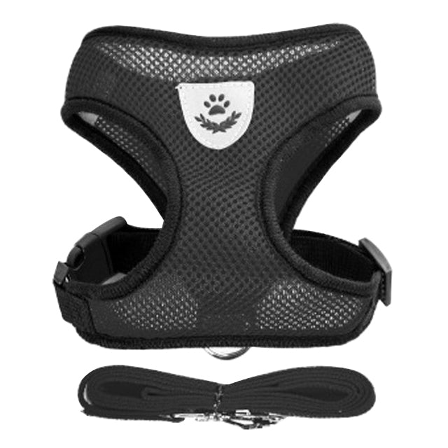 Adjustable Vest Pet Harness - Pride Fire - 724524_CNFCRU3 -