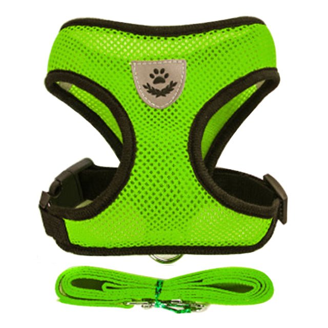 Adjustable Vest Pet Harness - Pride Fire - 724524_GUWL1FT -