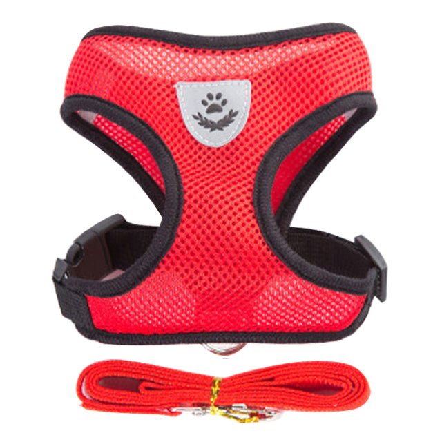 Adjustable Vest Pet Harness - Pride Fire - 724524_HLKNON5 -