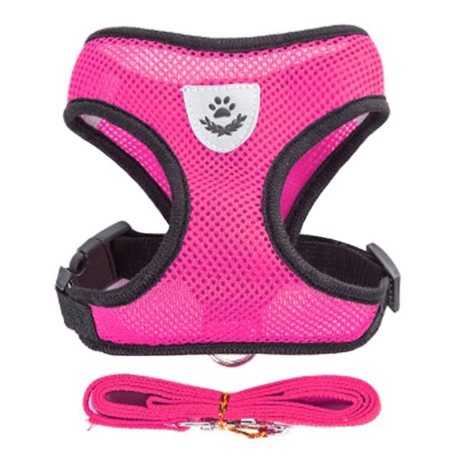 Adjustable Vest Pet Harness - Pride Fire - 724524_I18EUC8 -