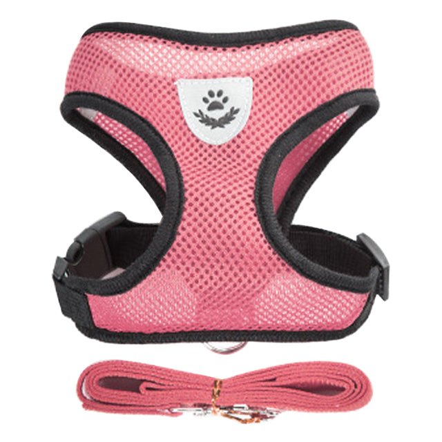 Adjustable Vest Pet Harness - Pride Fire - 724524_QJLPFTQ -