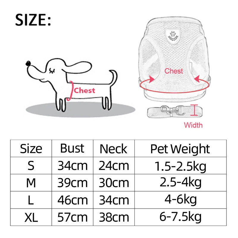 Adjustable Vest Pet Harness - Pride Fire - 724524_XTCPKGR -