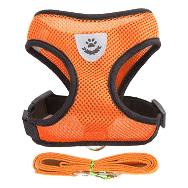 Adjustable Vest Pet Harness - Pride Fire - 724524_ZCKR79C -
