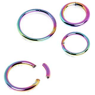 Rainbow PVD Plated Segment Ring - Pride Fire - CRTC01-1608RB - earrings