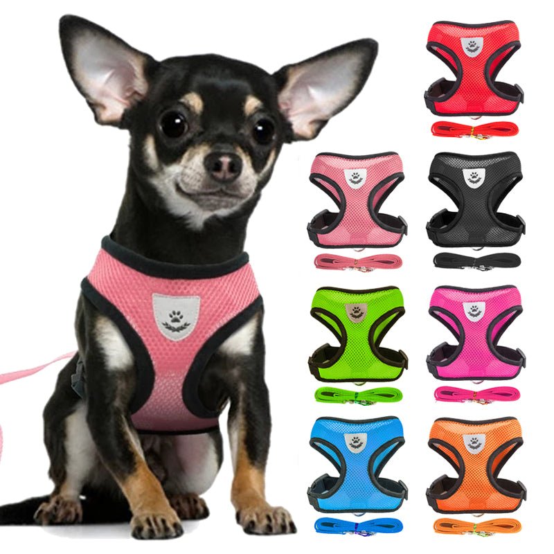 Adjustable Vest Pet Harness - Pride Fire - 724524_XTCPKGR -