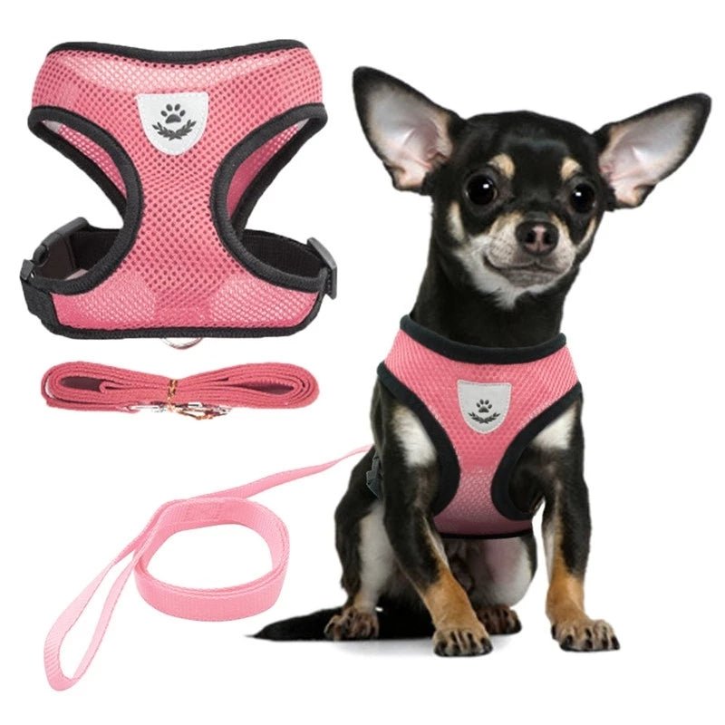 Adjustable Vest Pet Harness - Pride Fire - 724524_XTCPKGR -