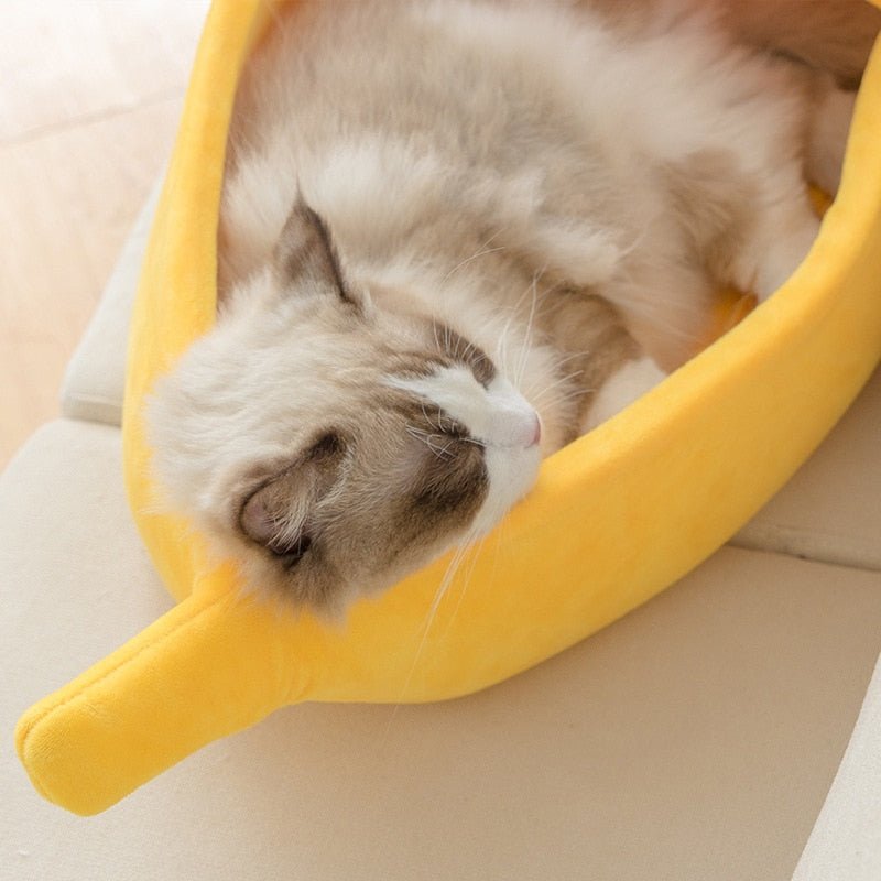 Banana Pet Bed House Cushion - Pride Fire - 484810_V4DJXX1 -