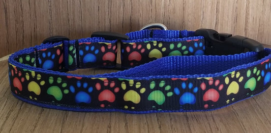 Collars and Leashes Rainbow Paw Prints on Blue - Pride Fire - LARGE - Leashes, Collars & Petwear