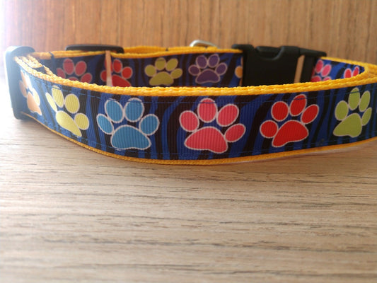 Collars & Leashes Rainbow Paw Prints - Pride Fire - COLLARANDLEASHCOMBO/LARGE - Leashes, Collars & Petwear