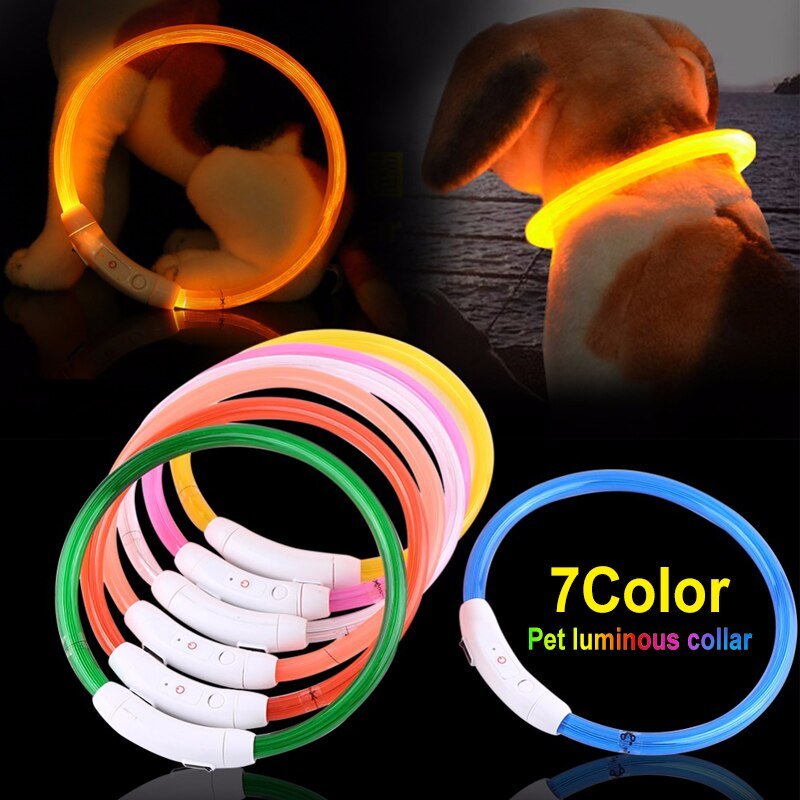 LED Dog or Cat Collar USB re-chargable - Pride Fire - 22056_KMYYRJG -