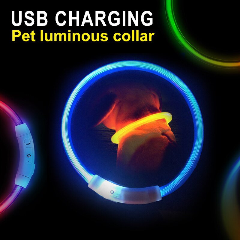 LED Dog or Cat Collar USB re-chargable - Pride Fire - 22056_KMYYRJG -