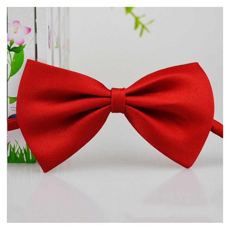 Pet Bow Tie Necklace - Pride Fire - 43105_FQOJFA9 -