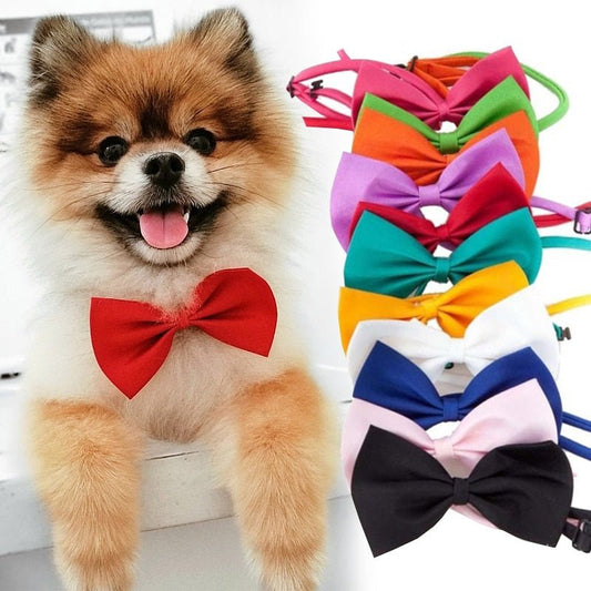 Pet Bow Tie Necklace - Pride Fire - 43105_HSKIDE3 -