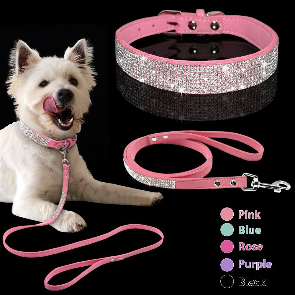 Pet Collar - Pride Fire - 673816_NIWO4BN -