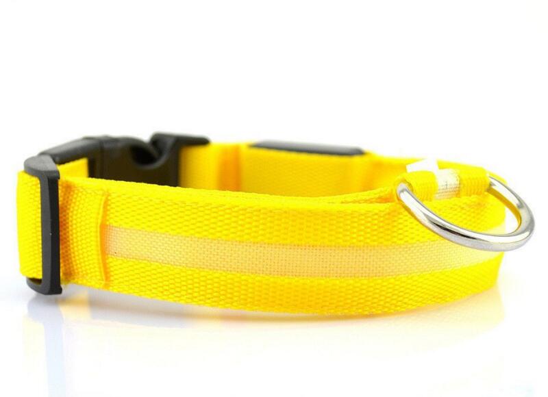 Pet Led Collar - Pride Fire - 9384_2ZYZ1V0 -