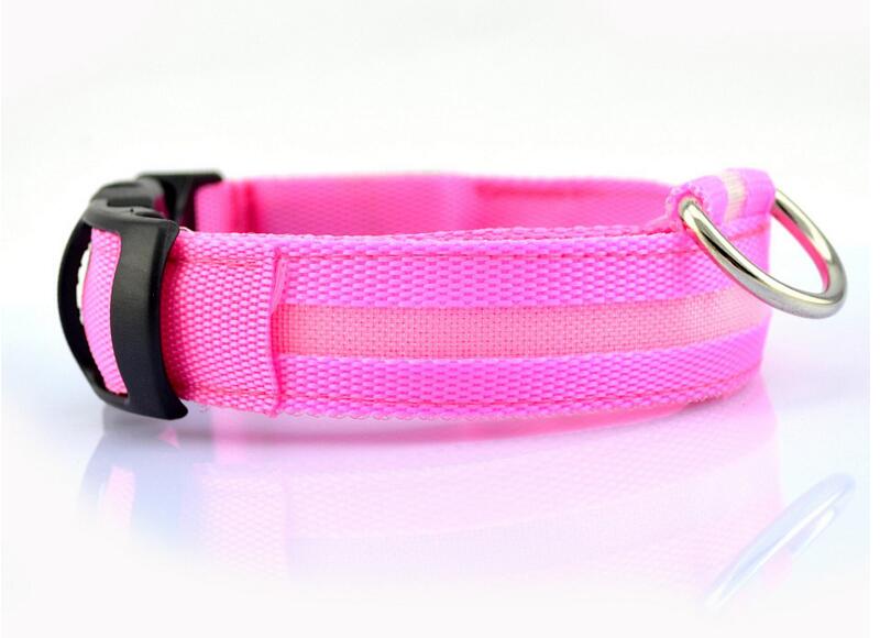 Pet Led Collar - Pride Fire - 9384_IZND34G -