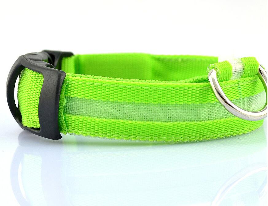 Pet Led Collar - Pride Fire - 9384_VLKEOYT -