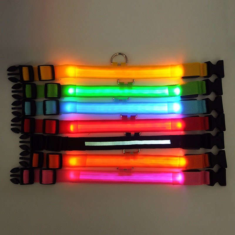 Pet Led Collar - Pride Fire - 9384_VLKEOYT -