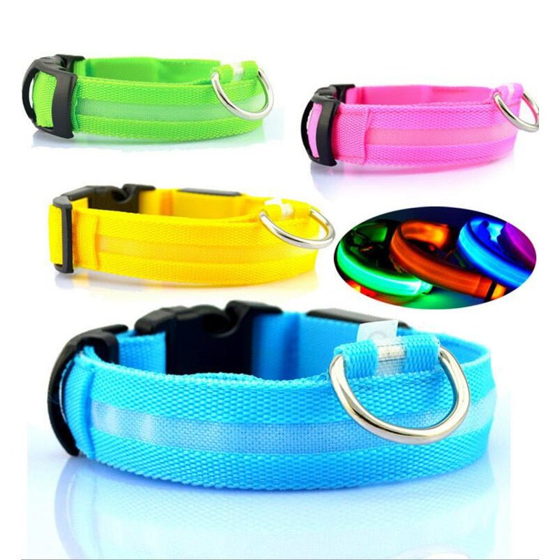 Pet Led Collar - Pride Fire - 9384_VLKEOYT -