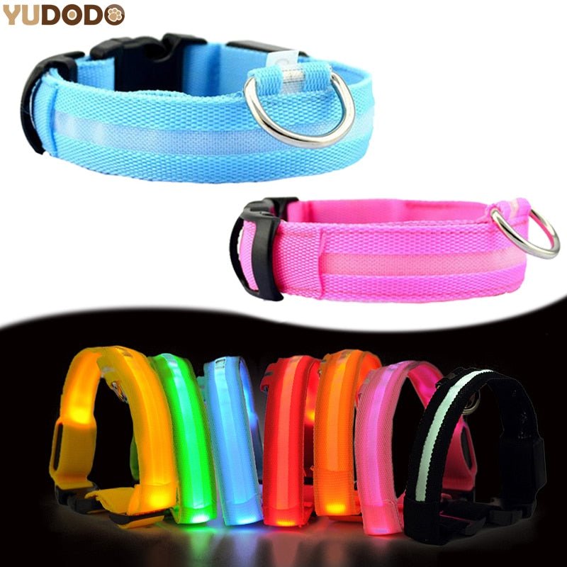 Pet Led Collar - Pride Fire - 9384_VLKEOYT -