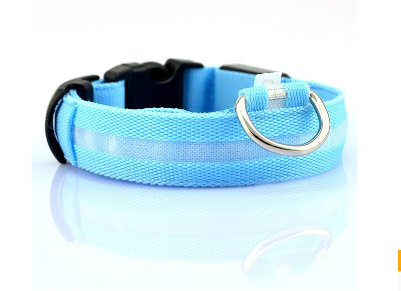 Pet Led Collar - Pride Fire - 9384_VLKEOYT -