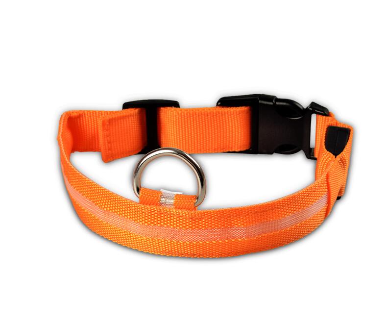 Pet Led Collar - Pride Fire - 9384_VLKEOYT -