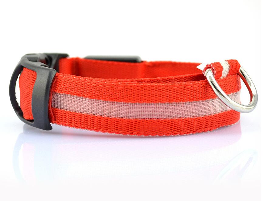 Pet Led Collar - Pride Fire - 9384_VLKEOYT -