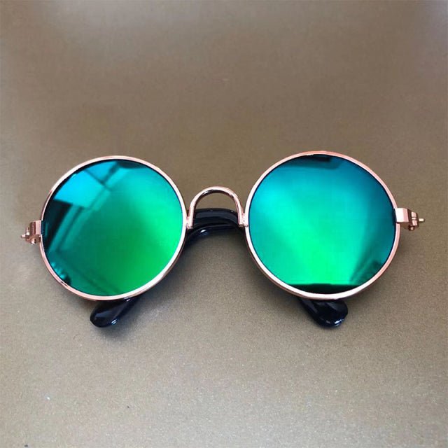 Pet Sunglasses - Pride Fire - 672262_VFWUDQL -