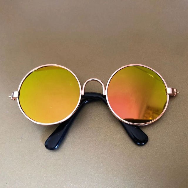Pet Sunglasses - Pride Fire - 672262_XEEIQSJ -