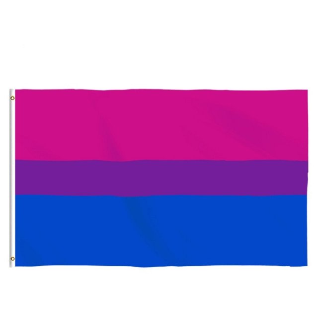 Rainbow Flags - Pride Fire - 650936_RNNY69J -