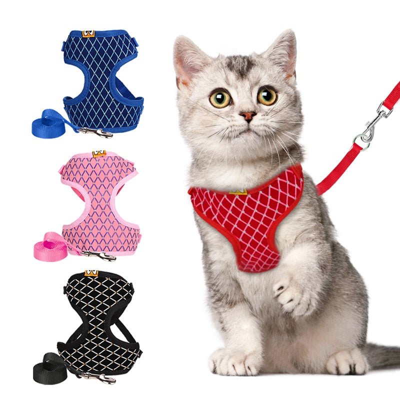 Rhinestone Pet Harness And Leash Set - Pride Fire - 22594_JWBF775 -